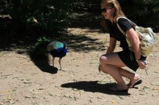 Russian Girl Feet 12.jpg