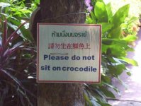 please do not sit on crocdile.jpg