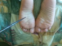 IMG00046.JPG IMG00046.JPG