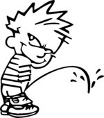 calvin1.jpg