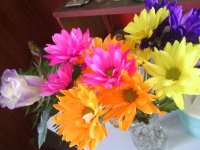 IMG_20120513_080544.jpg
