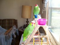 100_0401.JPG