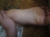 IMG_4612.JPG