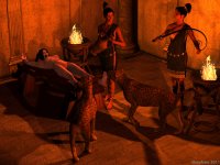 GA2011_Cheetahs_1_A.jpg