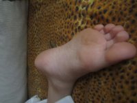 IMG_4611.JPG