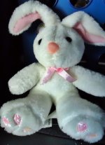 newbunny.JPG