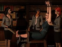GA2010_TheLibrary_C.jpg