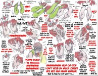 two ft FINAL edit.jpg