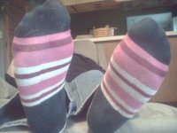 socks10.jpg