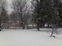 backyard snow.JPG