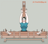 anim1.gif