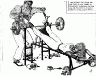 weights male.gif