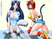 toybox2_1_1024.jpg