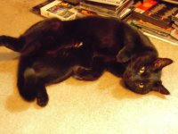 DSCN0820.JPG