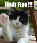Cat-CatWithPawRaisedHighFive.jpg