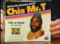 mrtchiapetbox.jpg