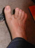 foot2.jpg