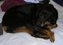 DSCN0907.JPG