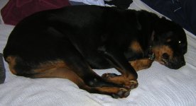 DSCN0908.JPG