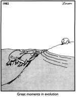 farsidemoment.jpg