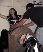 Dog21.jpg