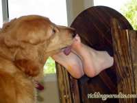 DogHoney00156.jpg