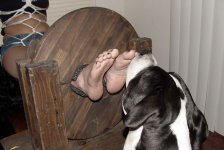 Dog19.jpg