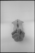 Webfind002.jpg