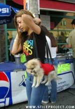 dog-carrier.jpg