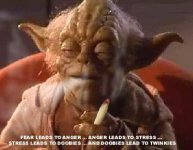 yoda.jpg