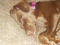 343 29;523232fp47=ot)2333=82(=;3 =XROQDF)232385663888;ot1lsi.jpg