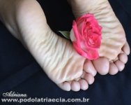 p&c-descalcos-2-2747b.jpg