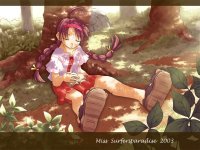 Miss Surfersparadise 28.jpg
