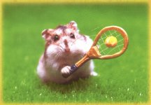HAMSTER2.JPG