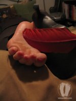 tickle_IMG_3462.jpg