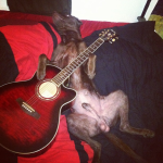 farrah.png farrah.png