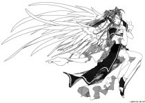 c146-2page.jpg