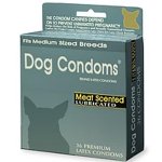 dogcondom6vh.jpg
