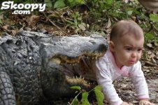 croc dinner.jpg