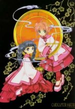 CCS03=.jpg