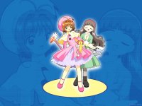 ccs03m.jpg