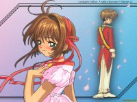 ccs03x2.jpg
