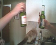 ZZ-cheers.jpg