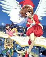 CCS20.jpg
