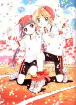 CCS31.jpg