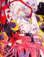 ccs_001.jpg