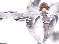 ccs_01_n_1024.jpg