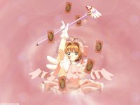 ccs_2_800.jpg