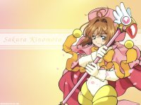 ccs_7_800.jpg