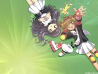 ccs_8_800.jpg